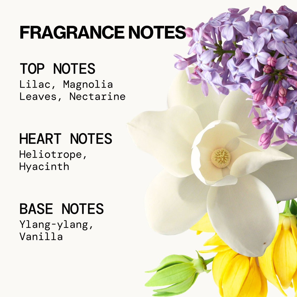 French Lilac Spray Perfume - Pacifica