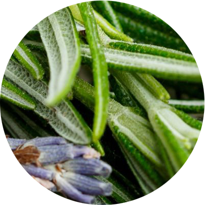 Herbal