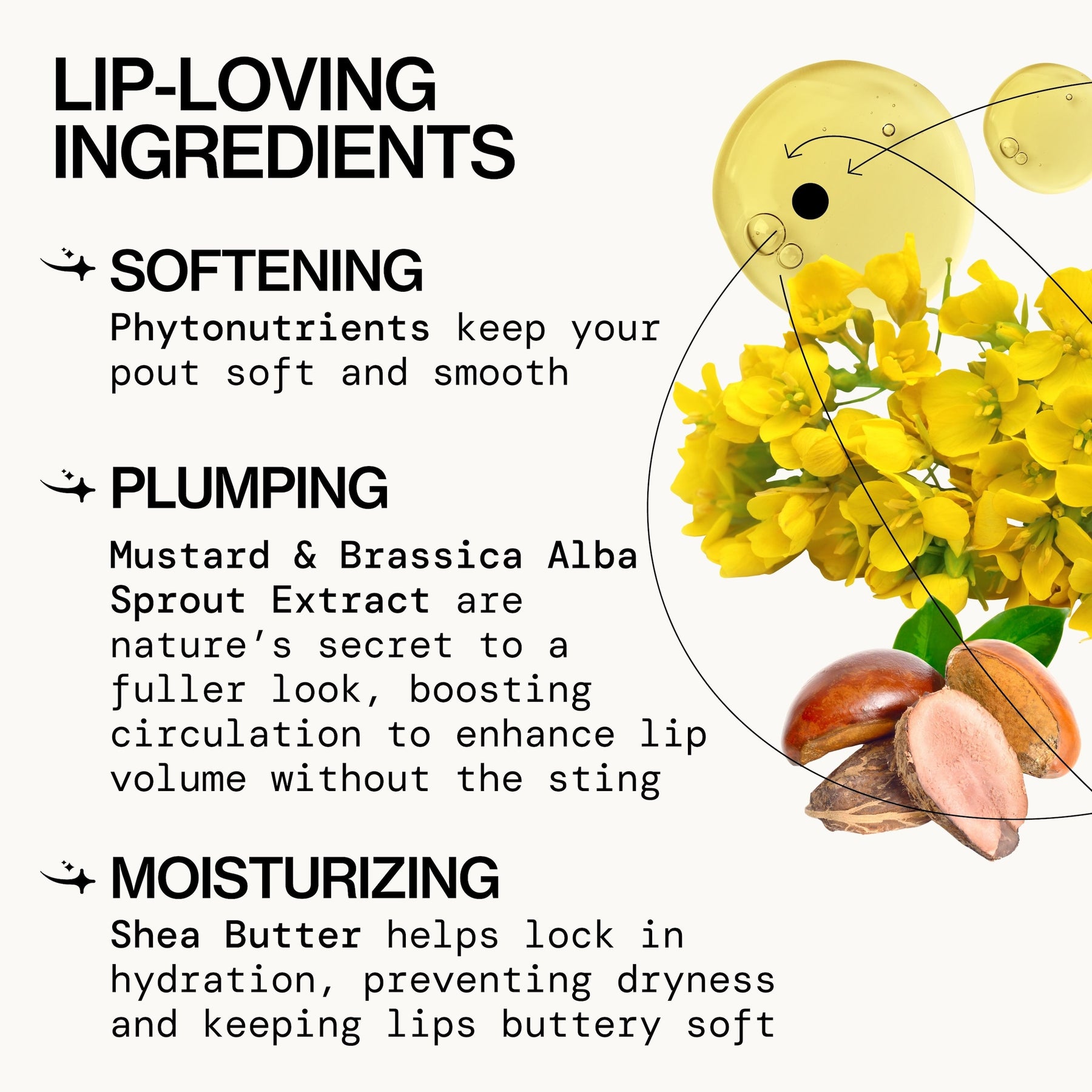 Enlightened Lip Gloss - Makeup - Pacifica Beauty