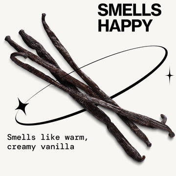 Enlightened Lip Gloss - Makeup - Pacifica Beauty