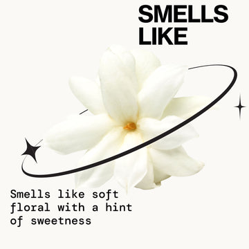 Enlightened Lip Gloss - Makeup - Pacifica Beauty