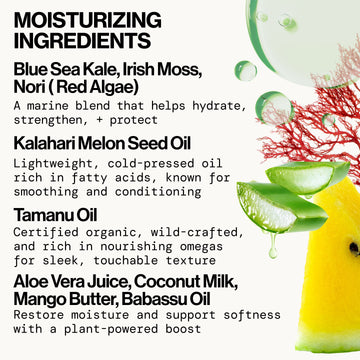 Smooth Seas Style Prep Smoothie - Haircare - Pacifica Beauty