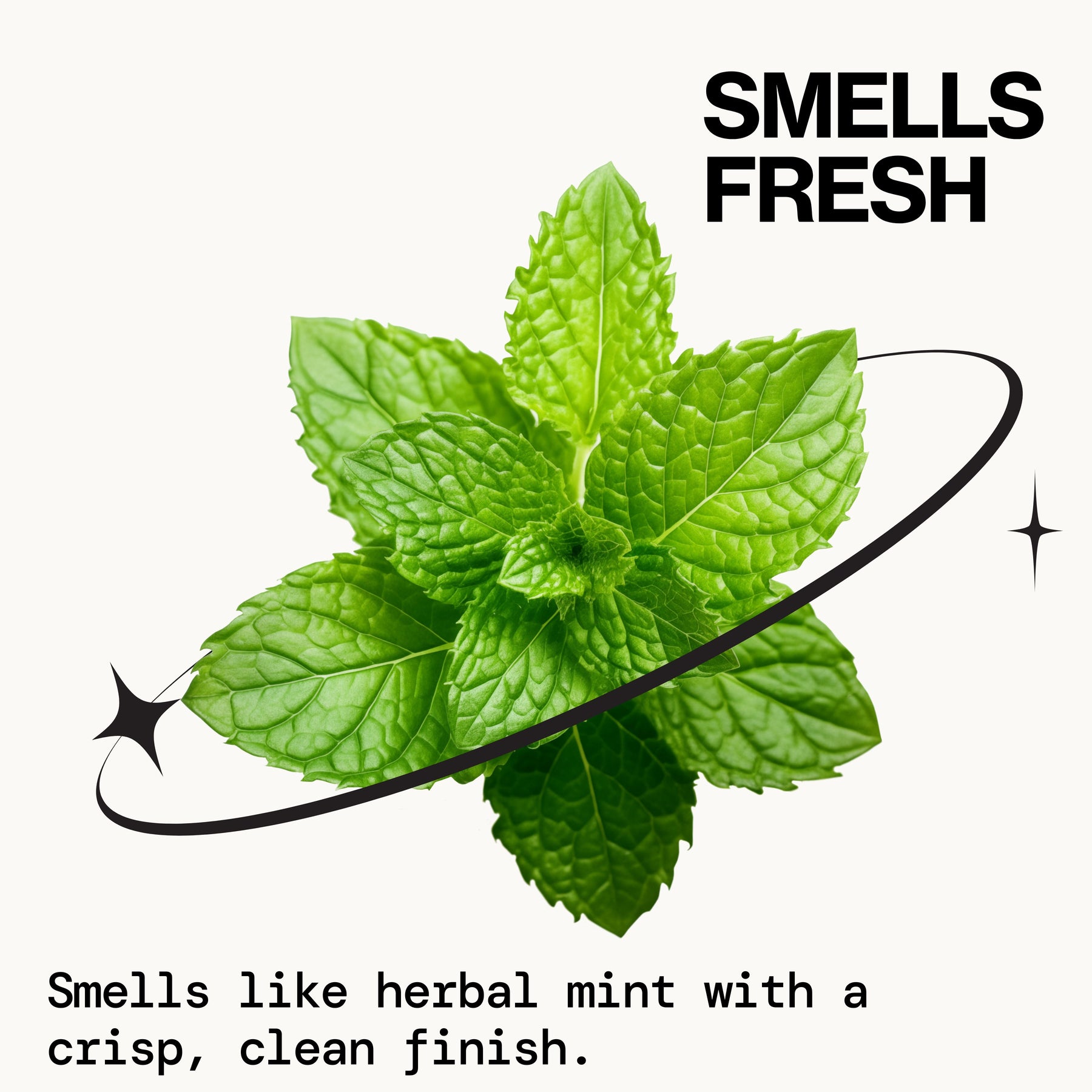 Rosemary Mint Scalp Love Shampoo - Haircare - Pacifica Beauty