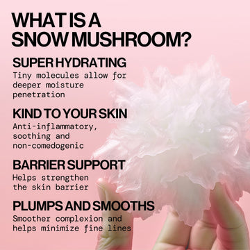 Berry Dewy Barrier Support Serum