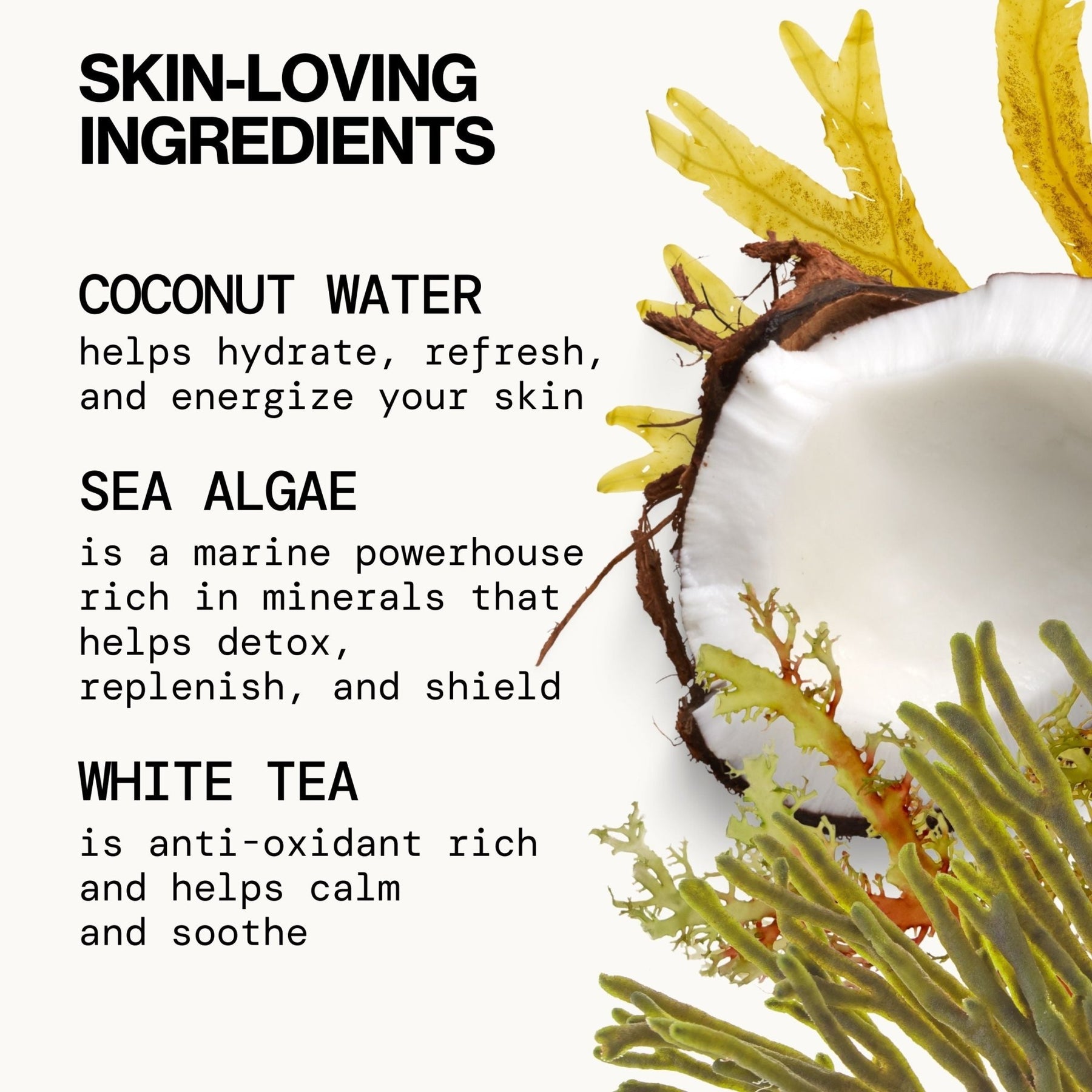 Sea Foam Complete Face Wash | Daily Facial Cleanser - Pacifica