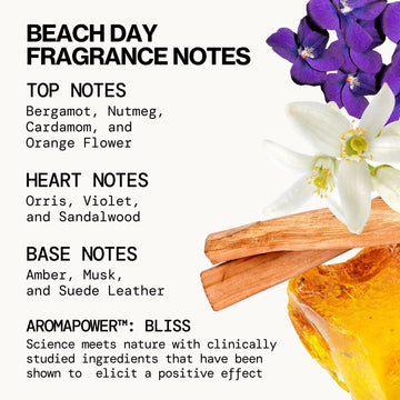 Take Me There Spray Perfume Mini Set - Pacifica