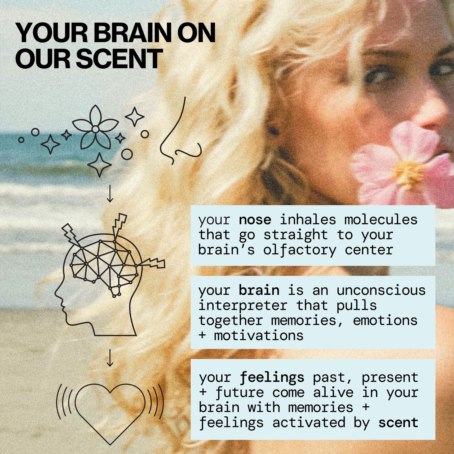 Indian Coconut Nectar Spray Perfume - Perfume - Pacifica Beauty