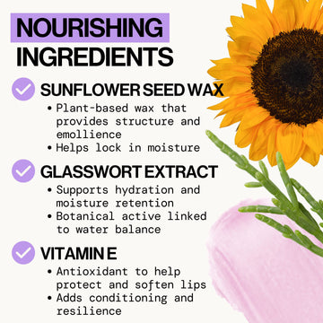 Blueberry Crush Lipbutter Cream - Makeup - Pacifica Beauty