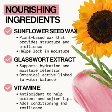 Cinnamon Sugar Lipbutter Cream - - Pacifica Beauty