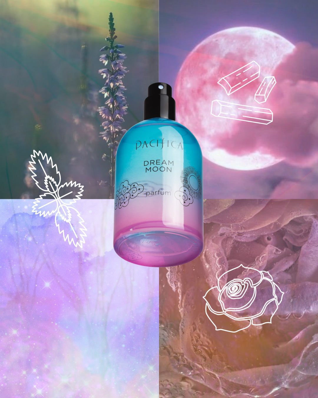 DREAM MOON