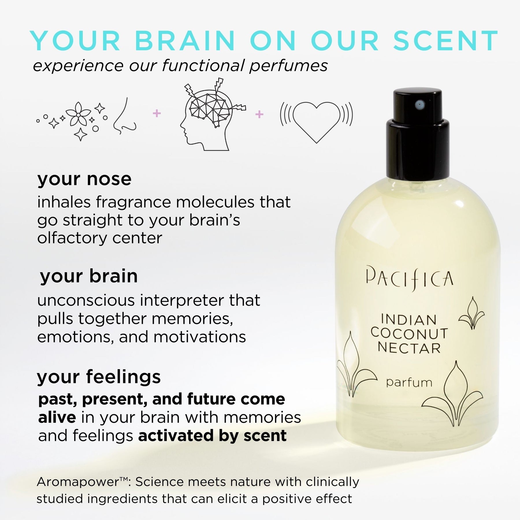 Indian Coconut Nectar Spray Perfume - Pacifica