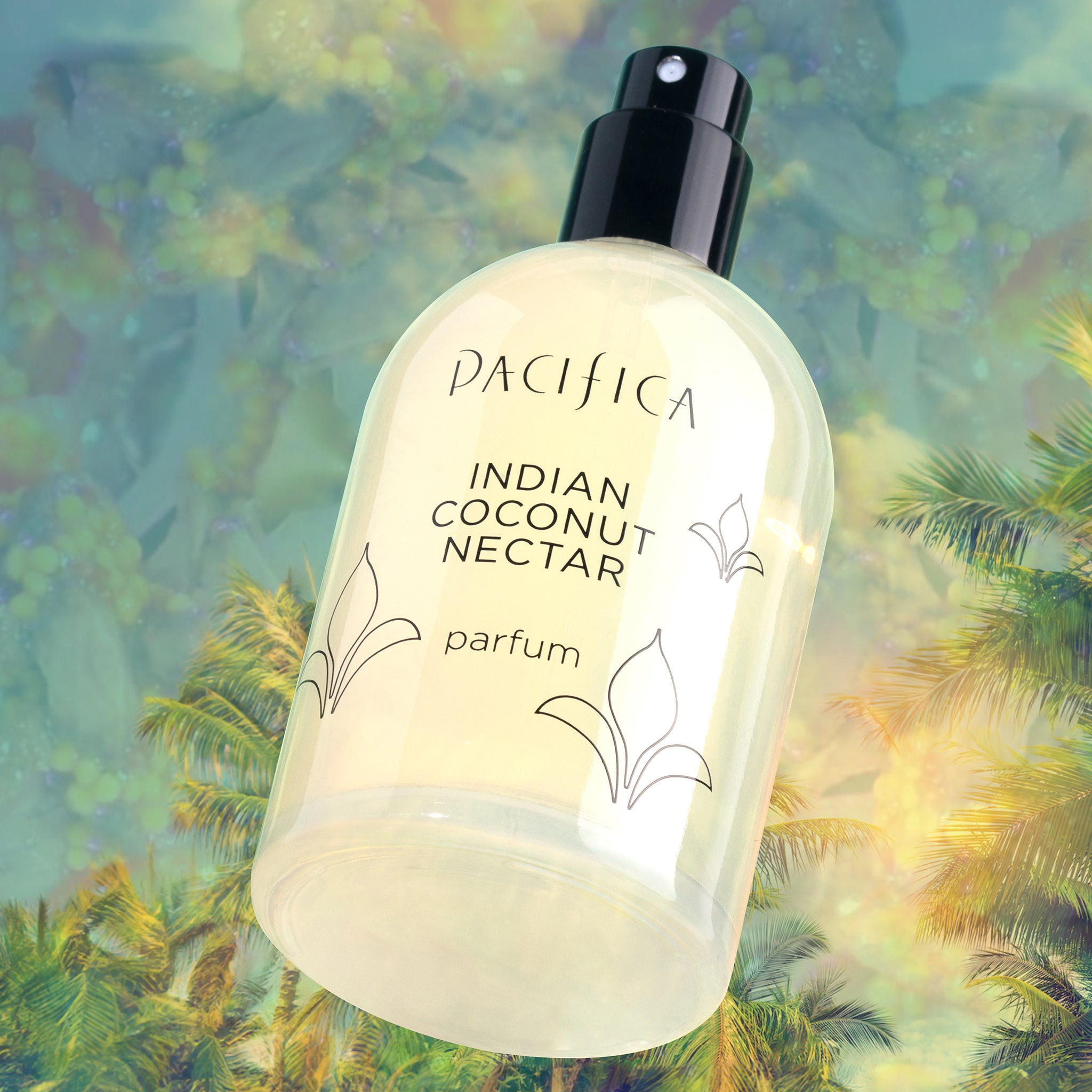 coconut palm creamy coconut perfume Pacifica Indian Coconut Nectar Spray Perfume