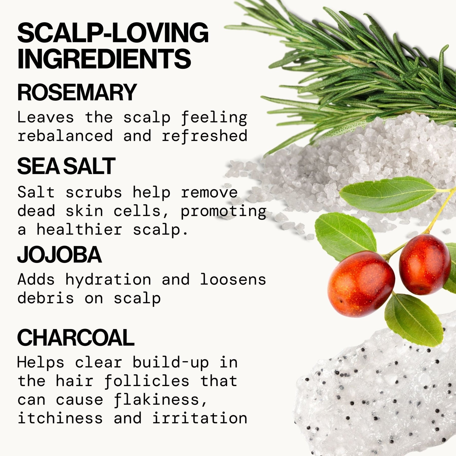 Rosemary Detox Scalp Scrub - Pacifica