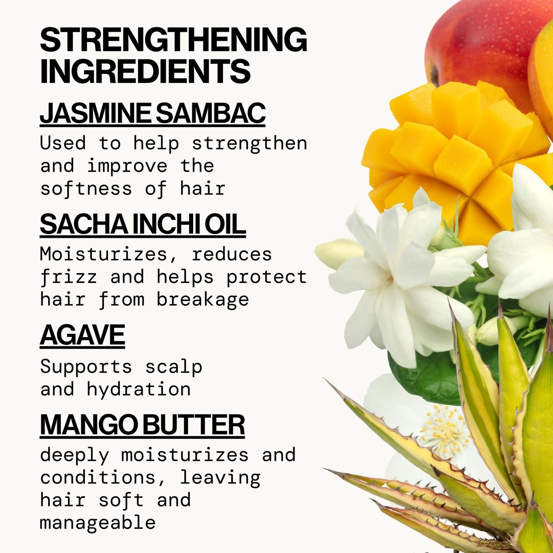 Jasmine Agave Strength + Shine Conditioner - Pacifica
