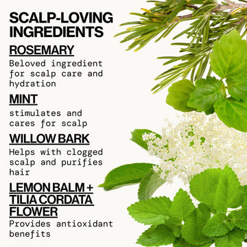 Rosemary Mint Scalp Love Foam Shampoo - Pacifica