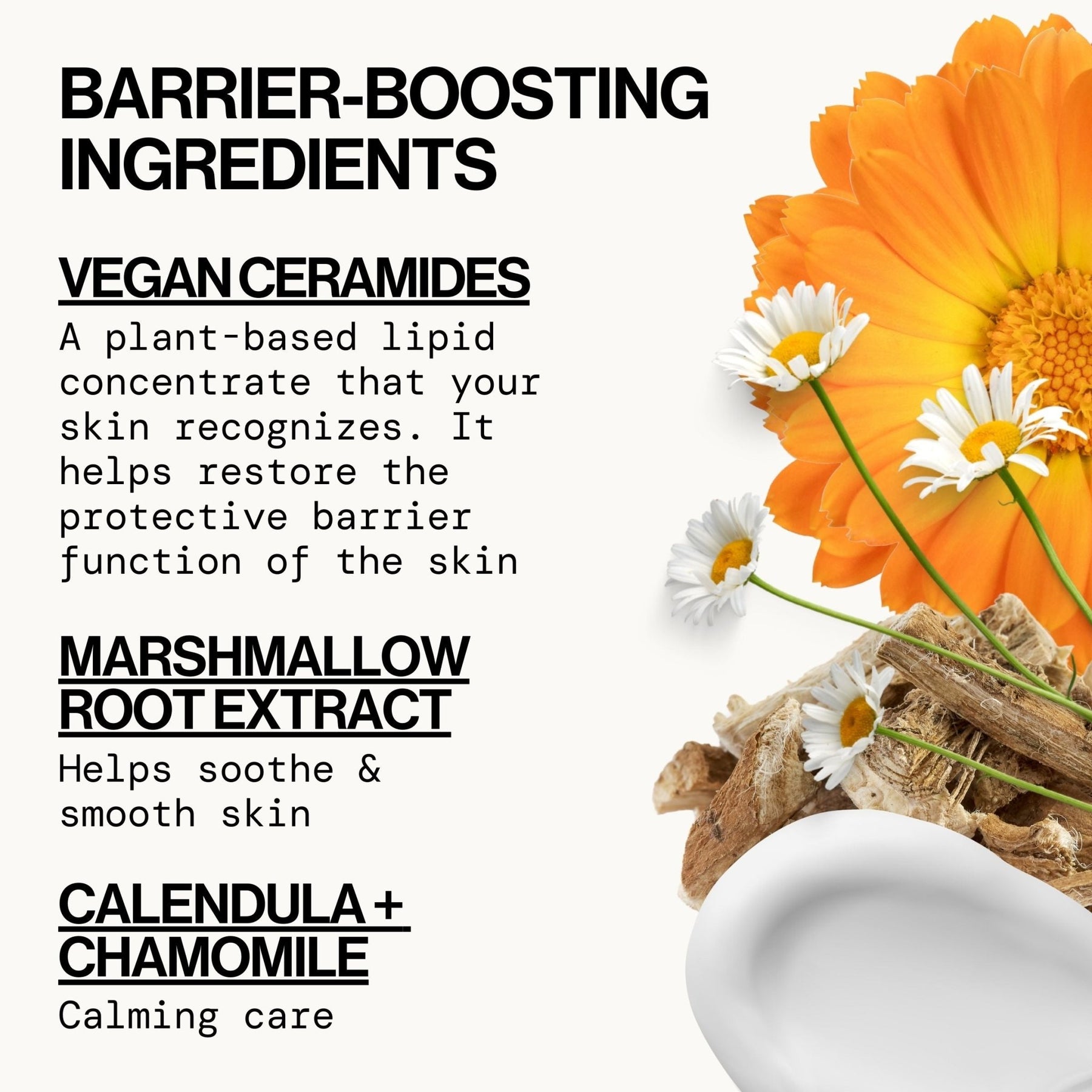 Vegan Ceramide Barrier Face Lotion - Pacifica