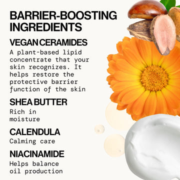 Vegan Ceramide Barrier Face Cream - Pacifica