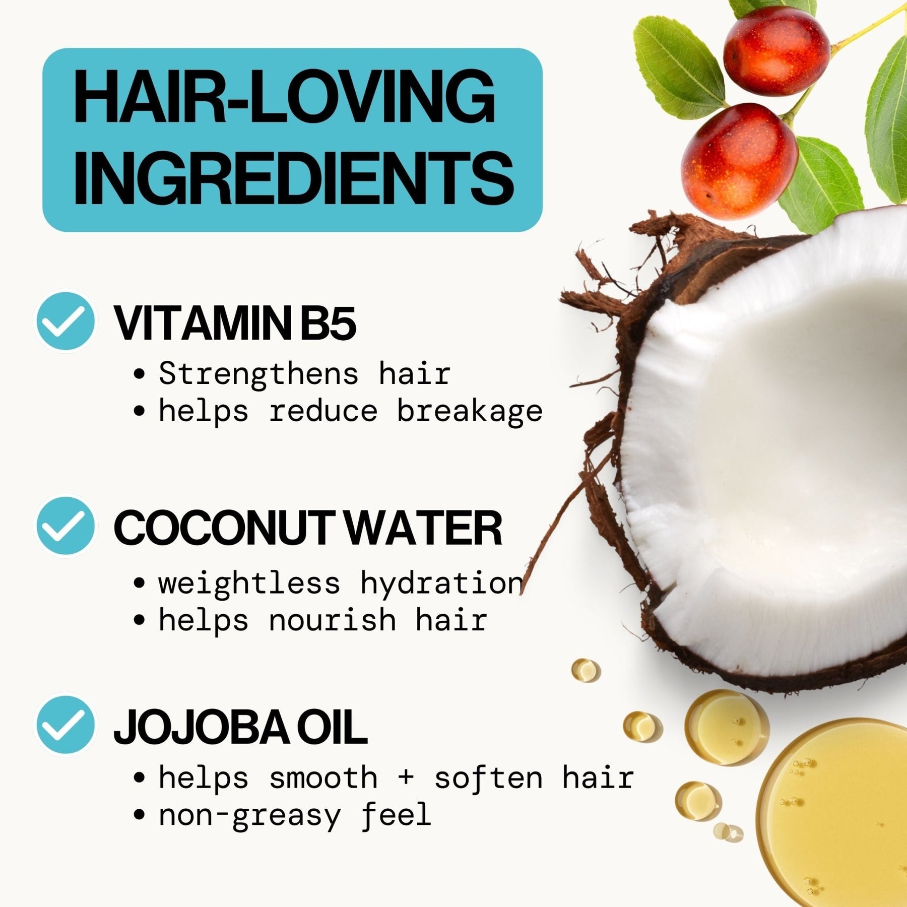 Coconut Milk Detangle Elixir - Pacifica