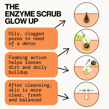 An infographic titled 'THE ENZYME SCRUB GLOW UP' explains the benefits of an enzyme scrub. It features three orange text boxes with callouts, arrows pointing to three circular diagrams of skin layers and pores, illustrating deep cleansing, foaming action, and a clear, balanced complexion after cleaning.