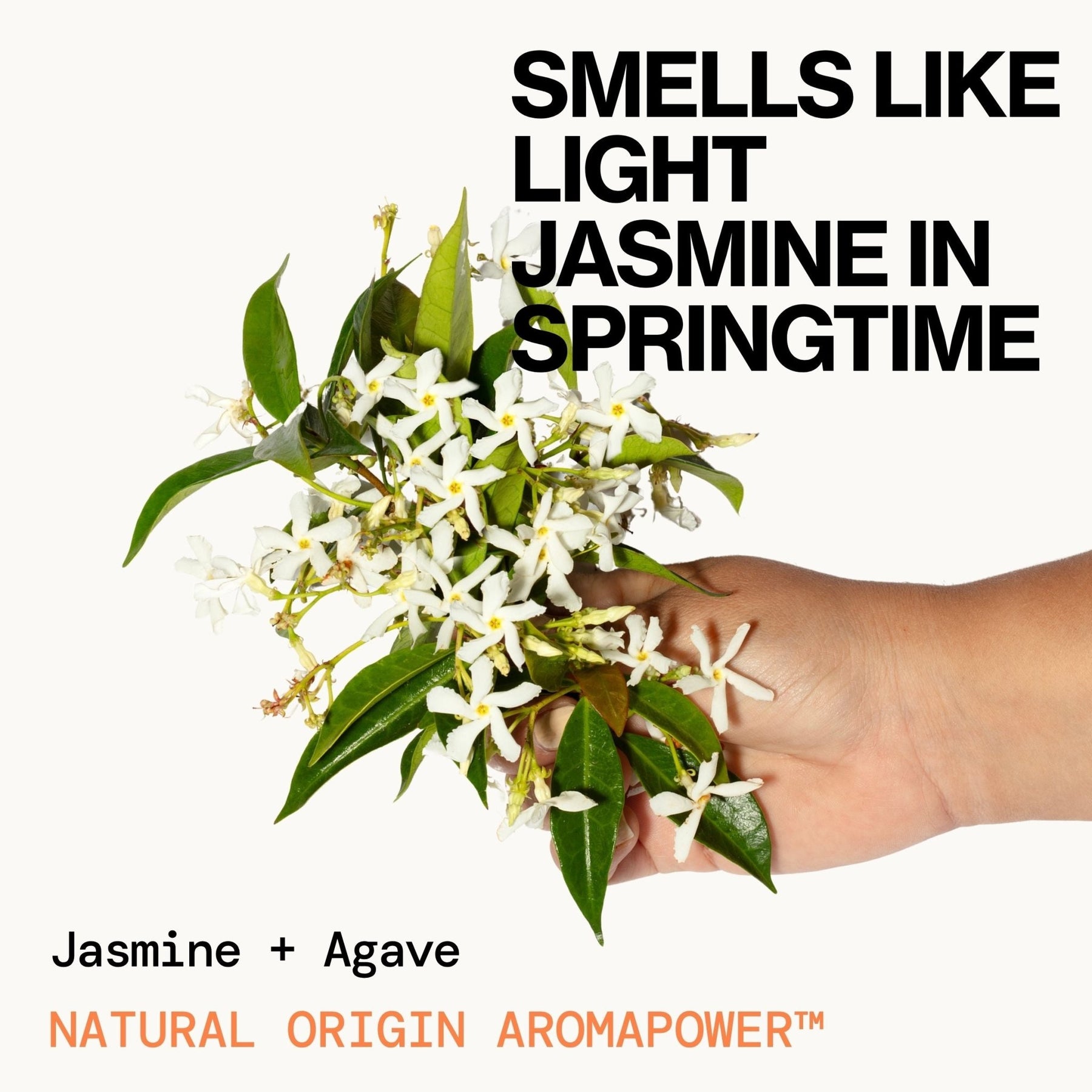 Jasmine Agave Strength + Shine Hair Oil - Pacifica