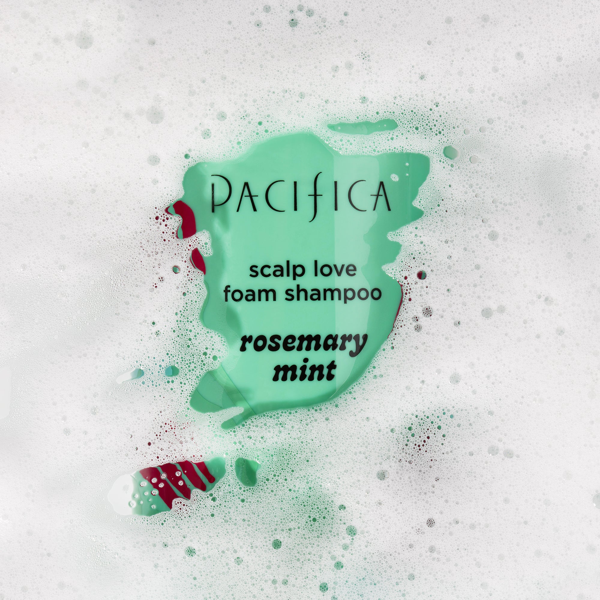 Rosemary Mint Scalp Love Foam Shampoo