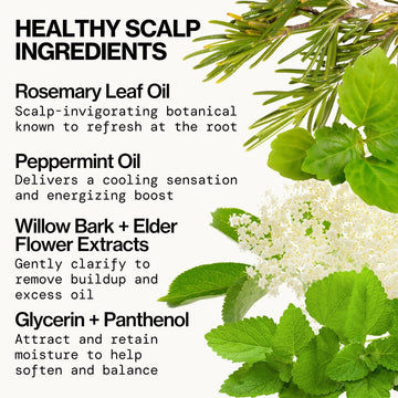 Rosemary Mint Scalp Love Shampoo - Pacifica