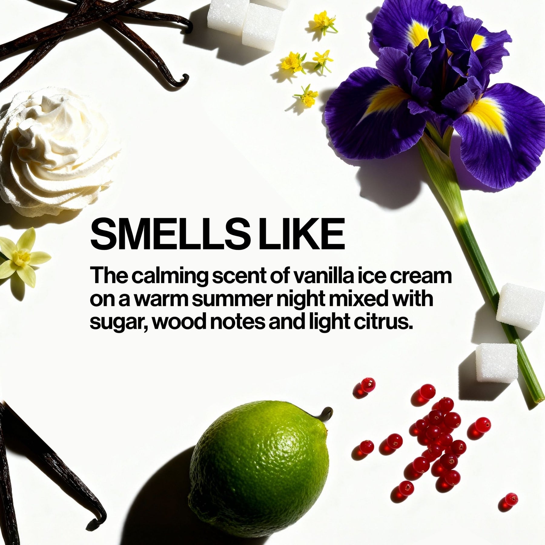 Vanilla Whip Hair Perfume - Pacifica