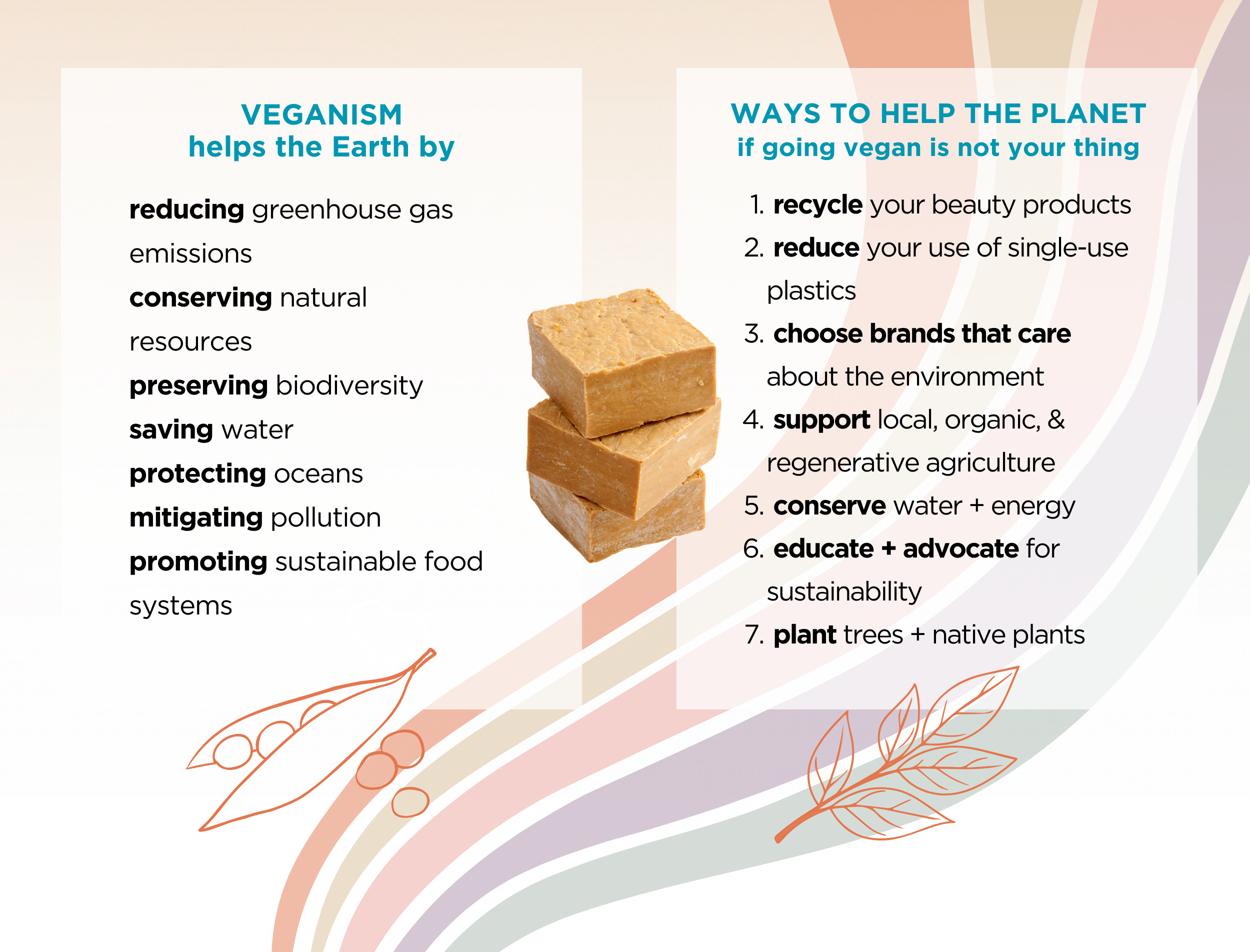List of reasons veganism helps the earth. List of ways to also help the planet.
